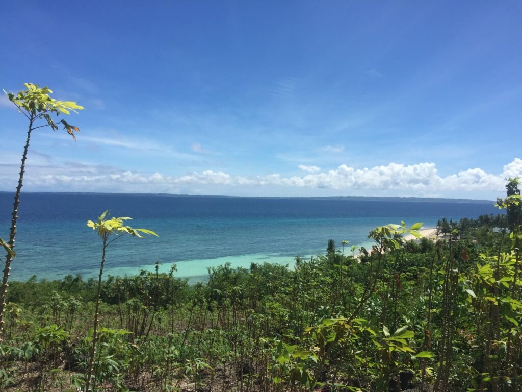 Kinatarcan Island in bantayan